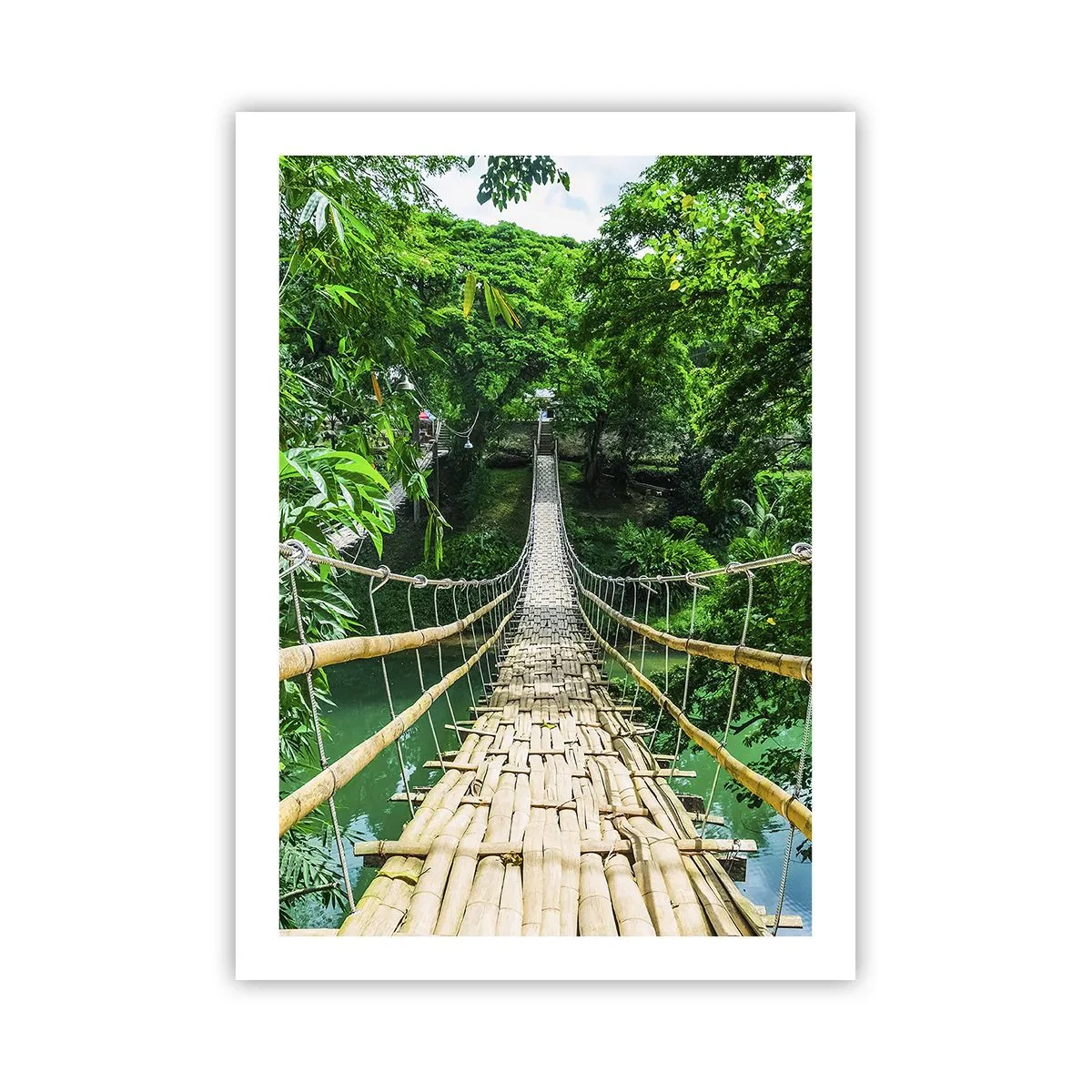 Poster - Eine hängende Bambusbrücke, umgeben von tropischem Grün - 50x70cm - Monkey Bridge über das Grün - Moderne Wanddekoration für Wohnzimmer und Schlafzimmer ARTTOR