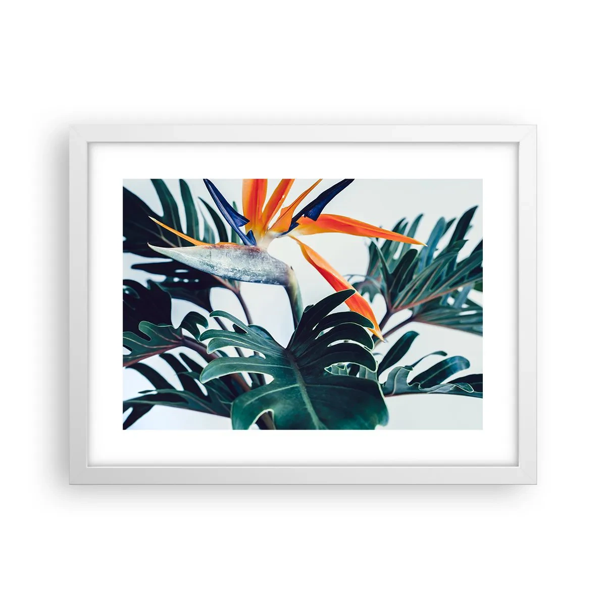 Poster in einem weißen Rahmen - Vogelbusch - 40x30 cm