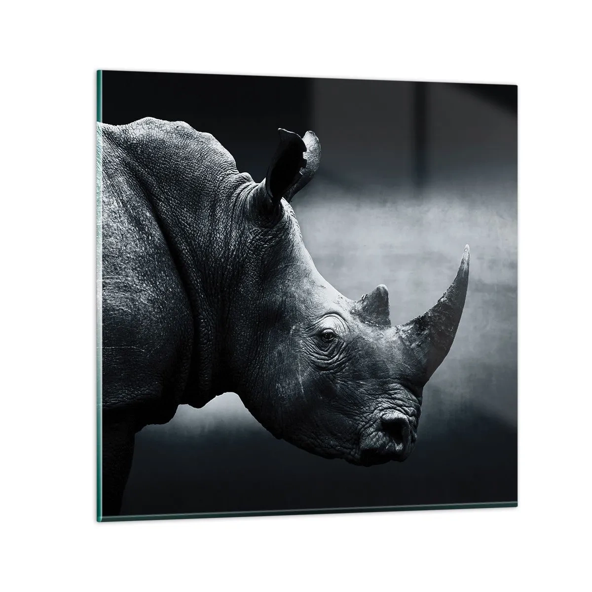 Glasbild - Bild auf glas - Richtiges Profil - 60x60 cm