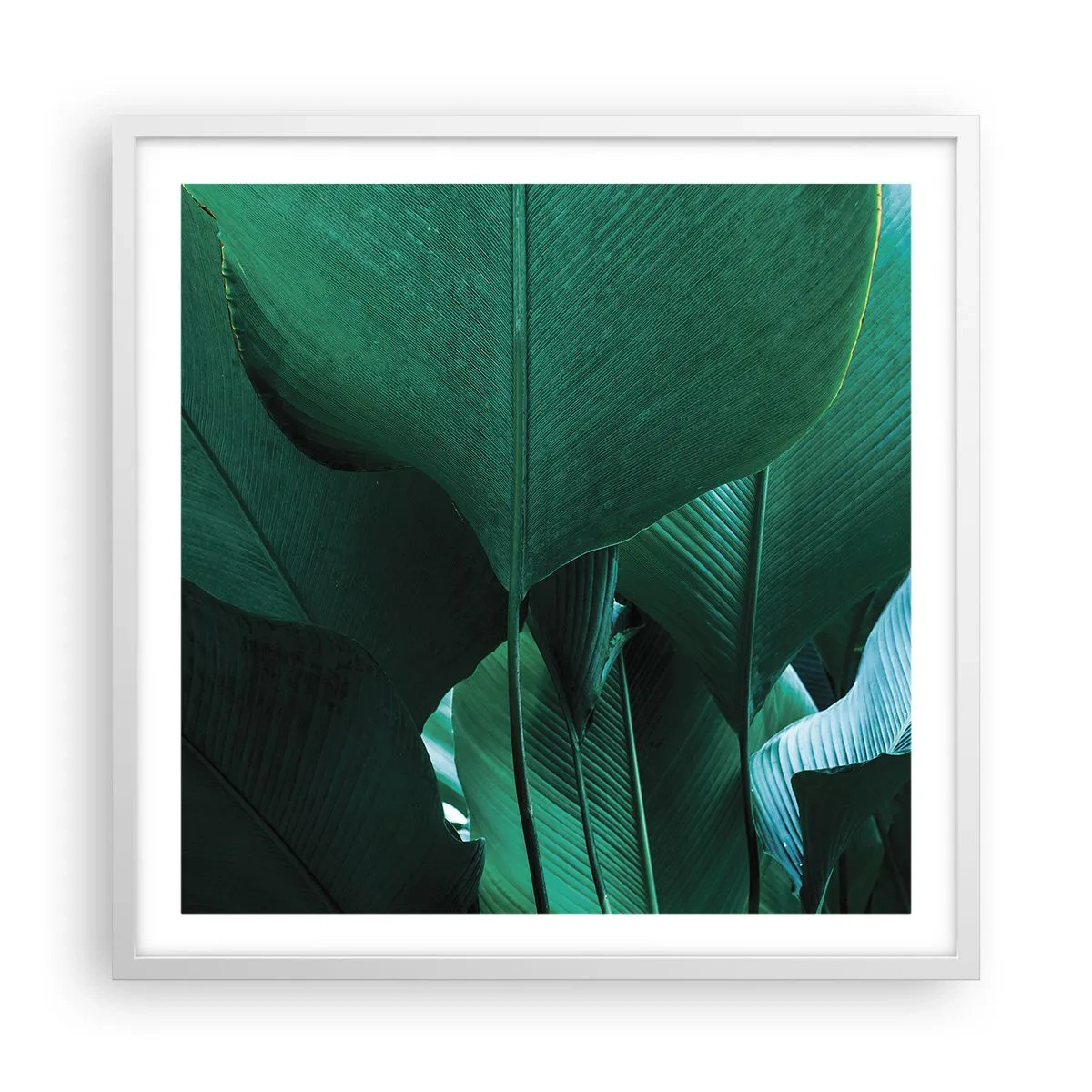 Poster in einem weißen Rahmen - Dem Licht zugewandt - 60x60 cm