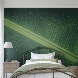 Fototapete Standard Eco - Die Struktur des Grüns - Grünes Blatt, Tropische Pflanze, Stück - 300x210 cm