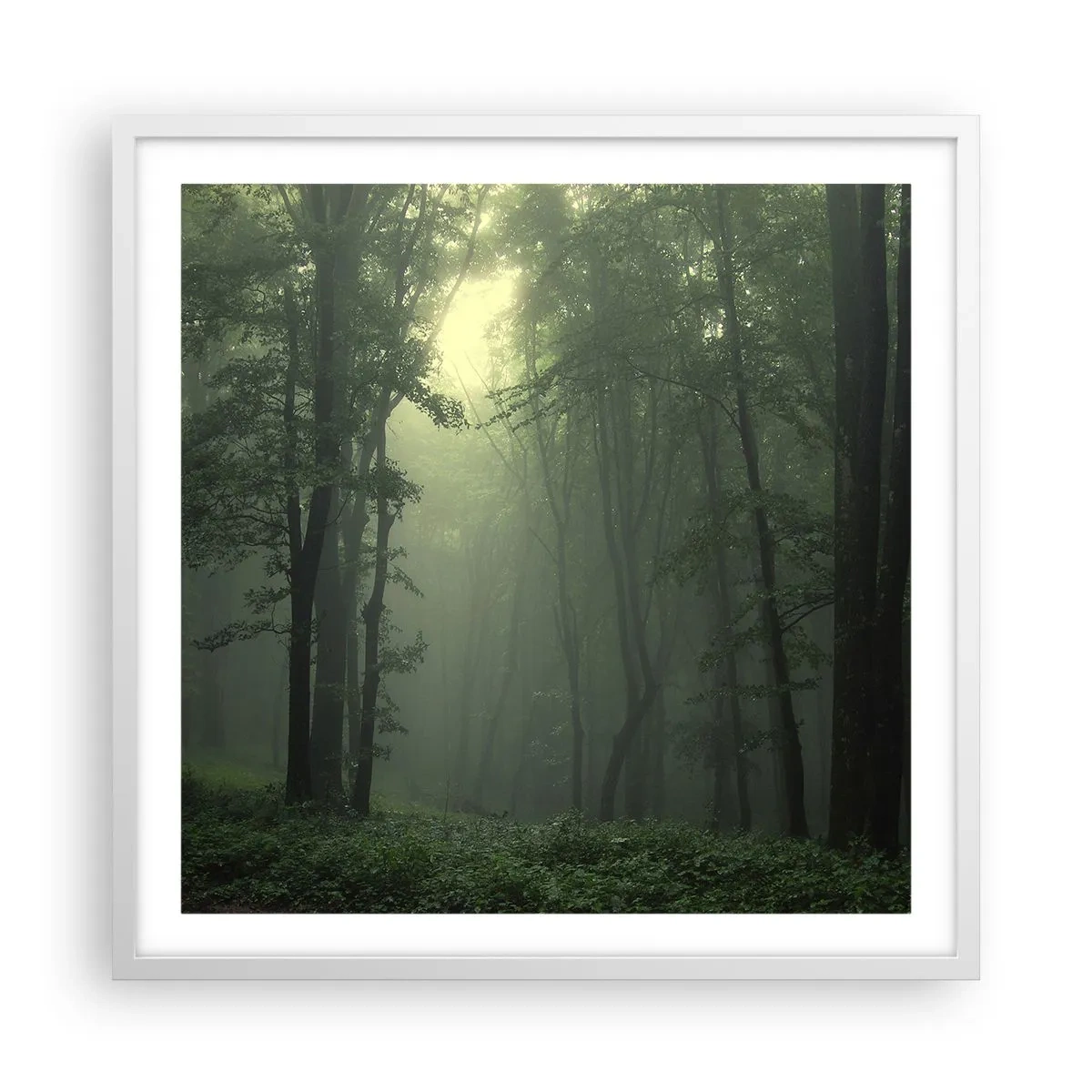 Poster in einem weißen Rahmen - Bevor er aufwacht - 60x60 cm