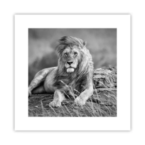 Poster - Königliche Siesta - 30x30 cm