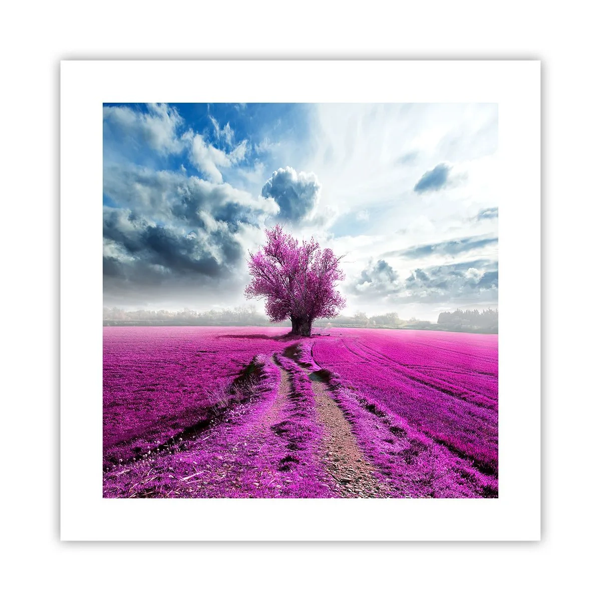 Poster - Heide - Wildnis - 40x40 cm