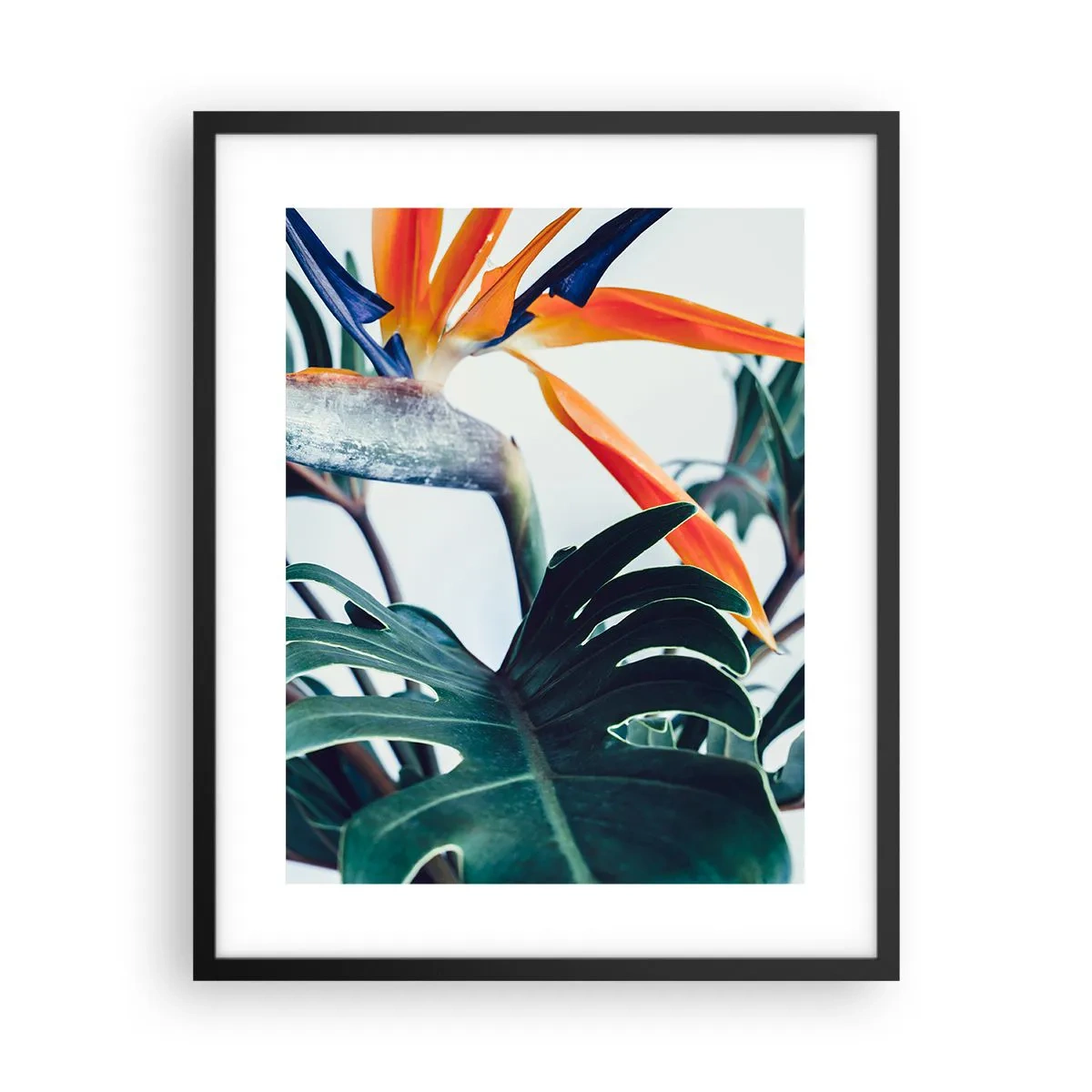 Poster in einem schwarzem Rahmen - Vogelbusch - 40x50 cm