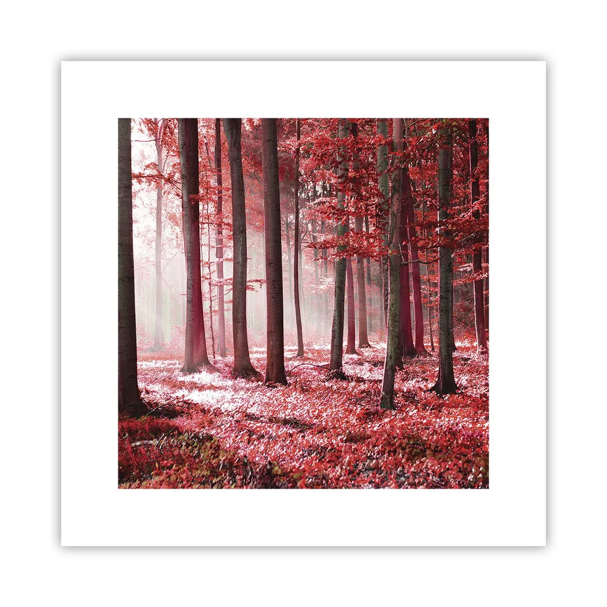 Poster - Rot ist genauso schön - 30x30 cm
