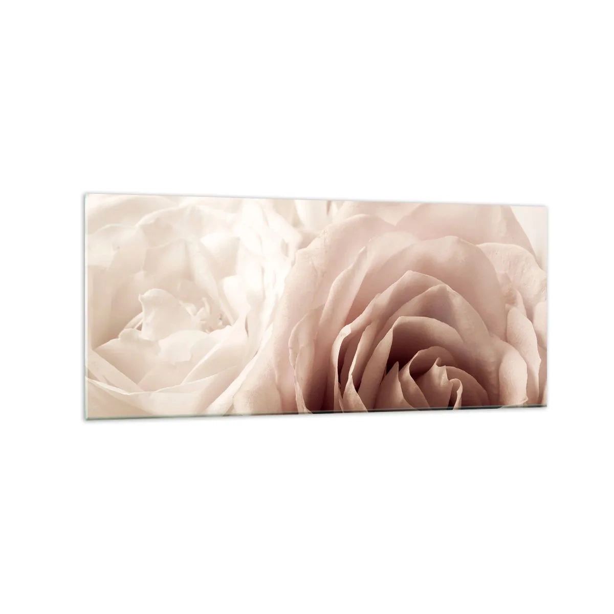 Glasbild - Bild auf glas - Zarte Rosen in pastelligen Beigetönen - 120x50cm - Im Herzen der Rose - Moderne Wanddekoration für Wohnzimmer und Schlafzimmer ARTTOR
