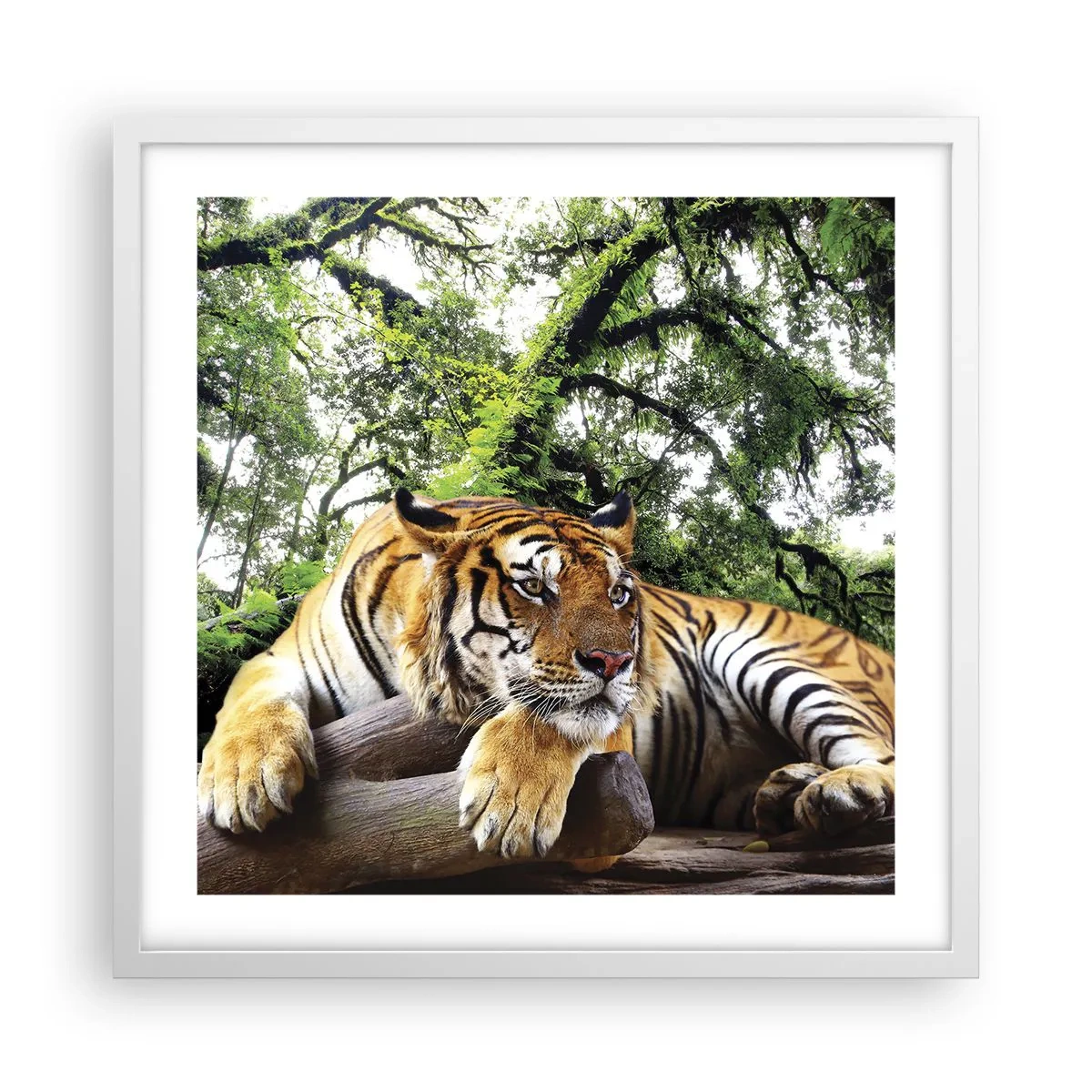 Poster in einem weißen Rahmen - Hochachtungsvoll - 50x50 cm