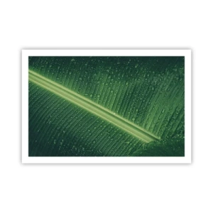 Poster - Die Struktur des Grüns - 91x61 cm