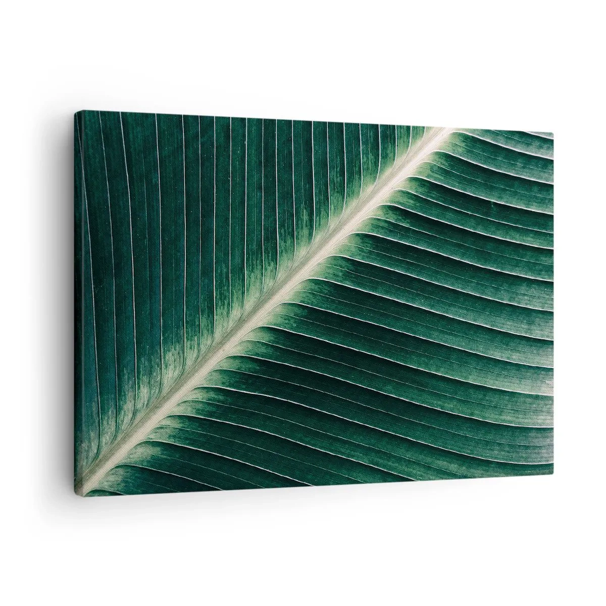 Bild auf Leinwand - Leinwandbild - Nahaufnahme der Struktur eines grünen Blattes - 70x50cm - Rhythmus der Natur - Moderne Wanddekoration für Wohnzimmer und Schlafzimmer ARTTOR