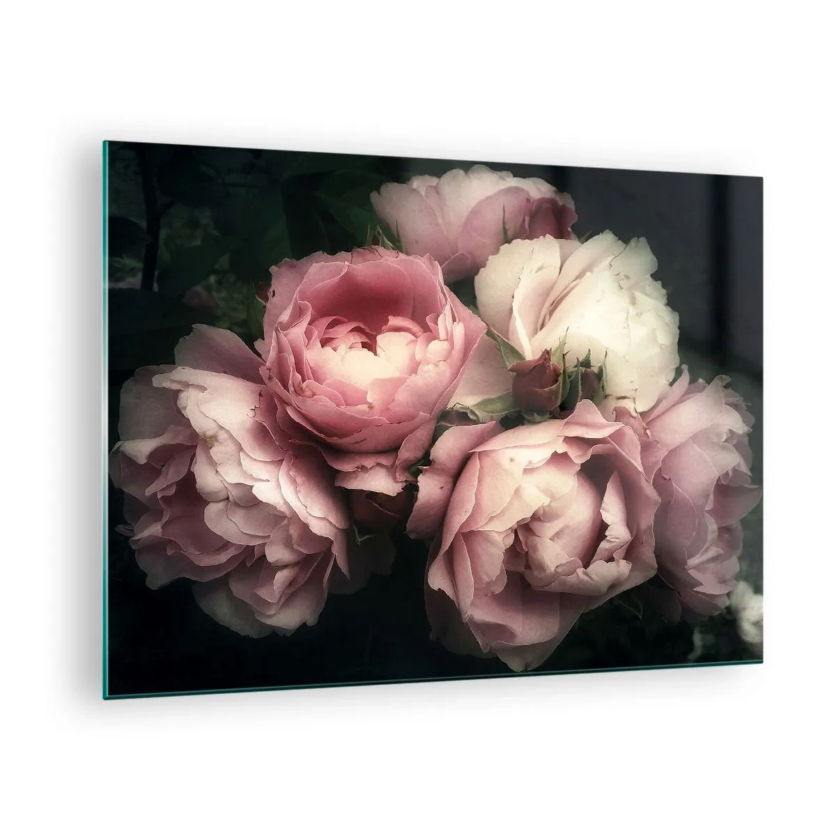 Glasbild - Bild auf glas - Ein Strauß rosa Rosen in sanfter Beleuchtung mit Vintage-Touch - 70x50cm - Der Charme der Belle Epoque - Moderne Wanddekoration für Wohnzimmer und Schlafzimmer ARTTOR