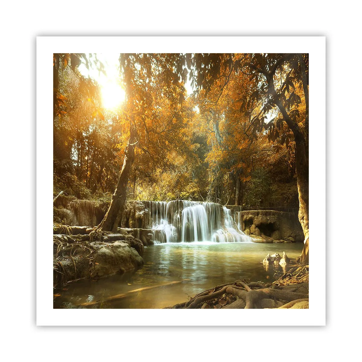 Poster - Parkkaskade - 60x60 cm