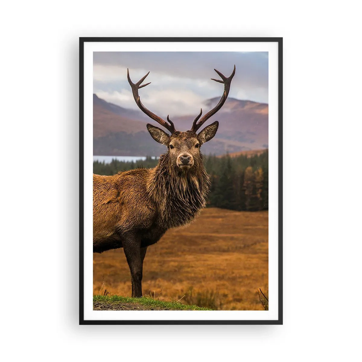 Poster in einem schwarzem Rahmen - Die Majestät der Natur - 70x100 cm