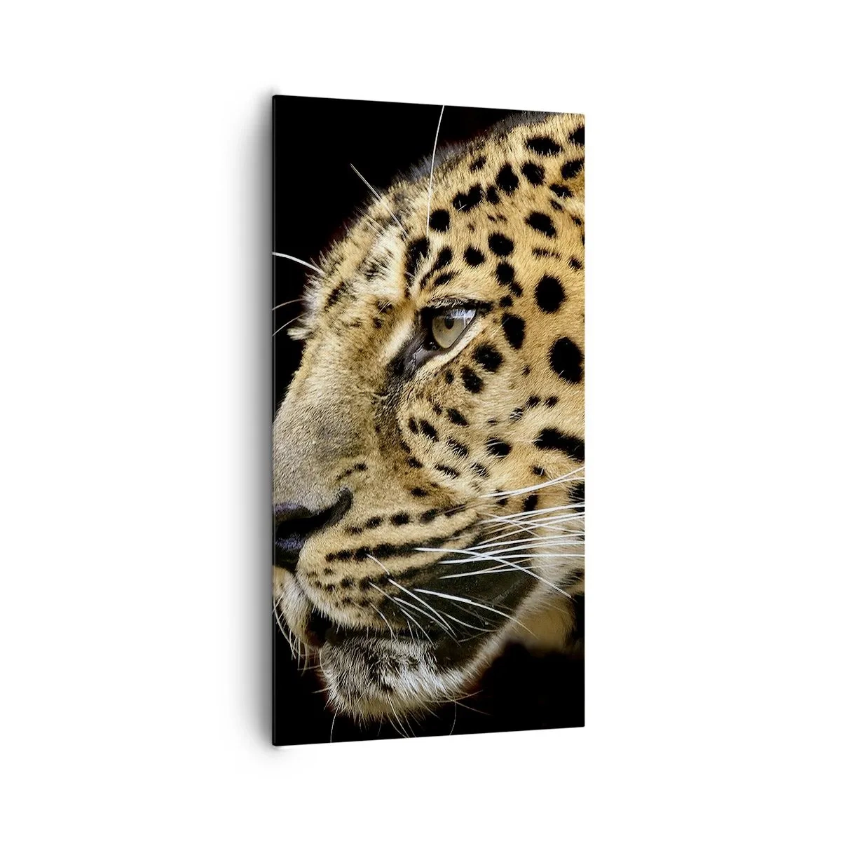 Bild auf Leinwand - Leinwandbild - Ruhig, fokussiert, bereit - 65x120 cm