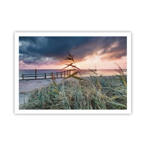 Poster - Strand bei Sonnenuntergang mit Gräsern im Vordergrund - 100x70cm - Es vergeht nicht mit dem Wind - Moderne Wanddekoration für Wohnzimmer und Schlafzimmer ARTTOR