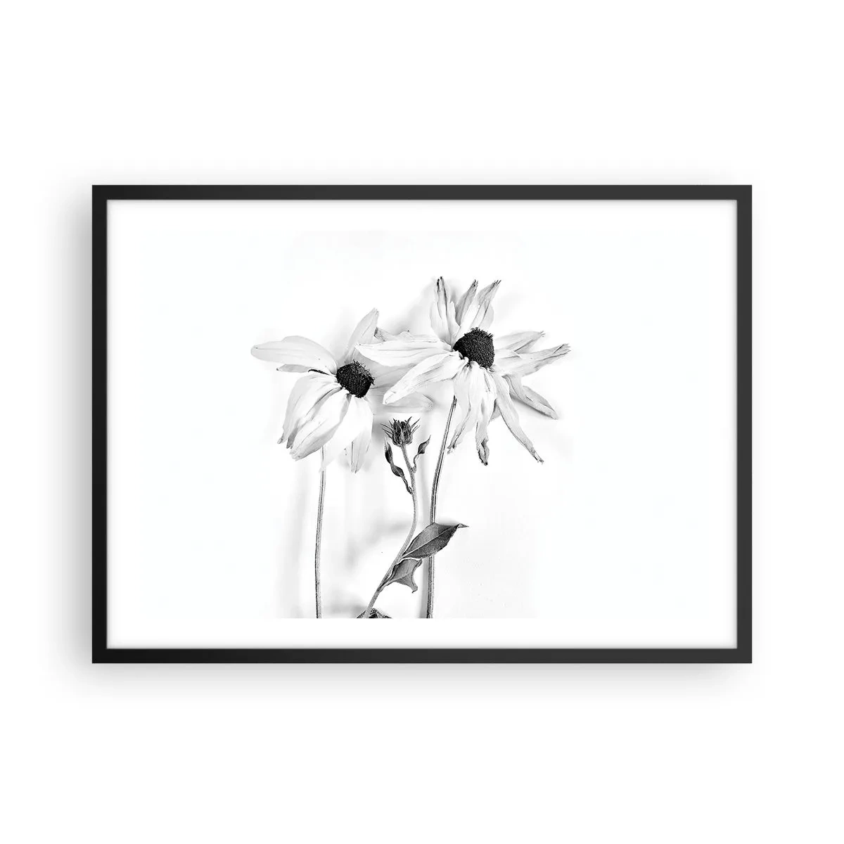 Poster in einem schwarzem Rahmen - Schwarz-weiße Blumen mit subtiler Komposition - 70x50cm - Niemand will allein sein - Moderne Wanddekoration für Wohnzimmer und Schlafzimmer ARTTOR