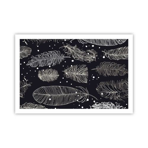 Poster - Gefiederte Spitze - 91x61 cm