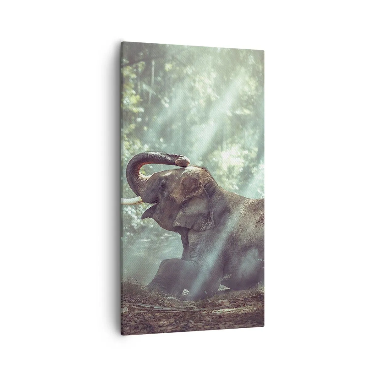 Bild auf Leinwand - Leinwandbild - Und hör dir das an... - 55x100 cm
