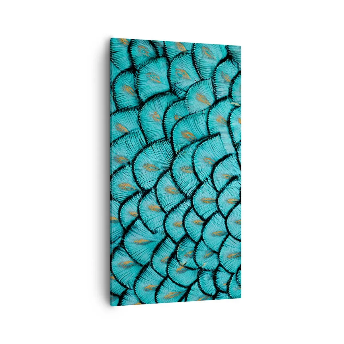 Bild auf Leinwand - Leinwandbild - Große Federgala - 55x100 cm