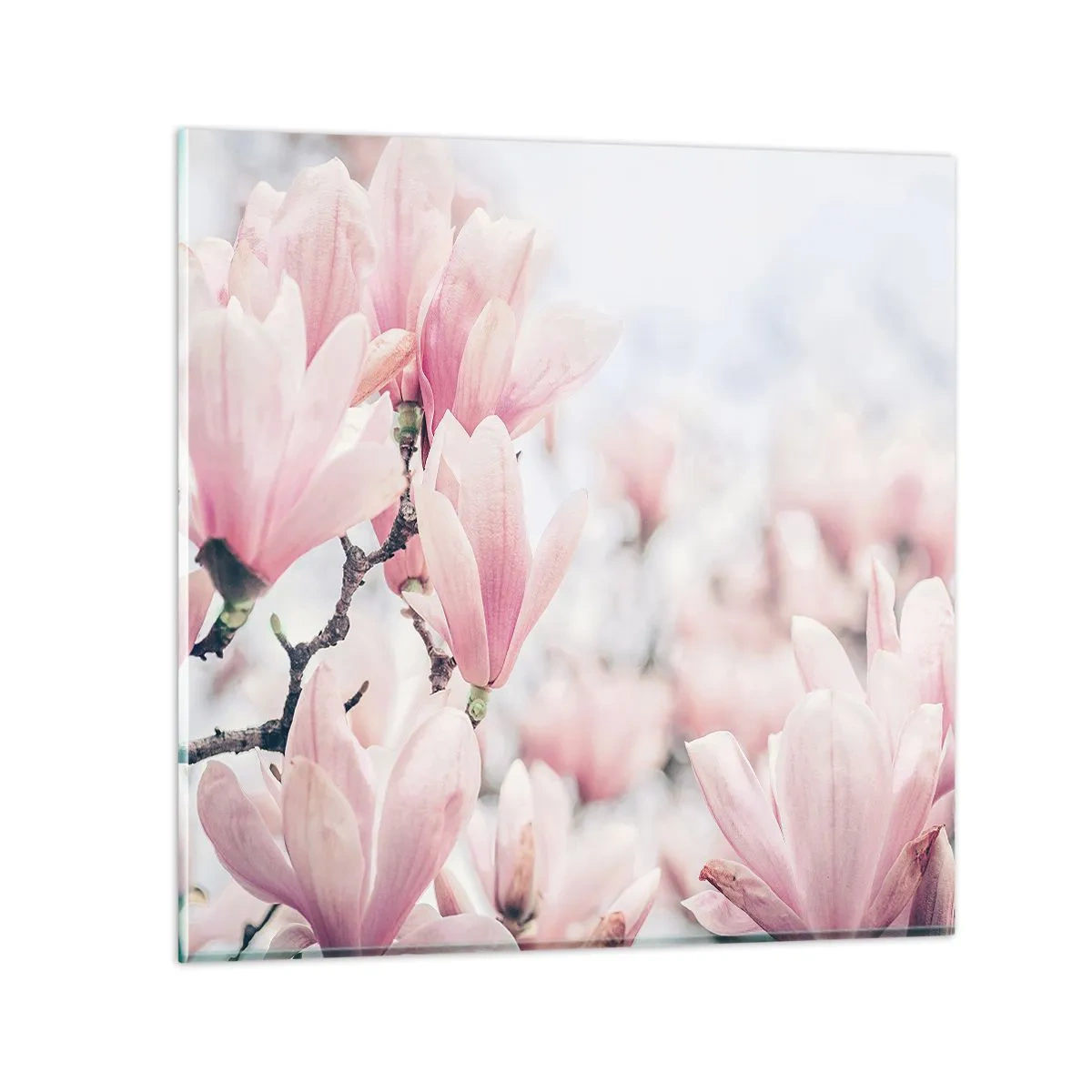 Glasbild - Bild auf glas - Das Ideal der Subtilität - 70x70 cm