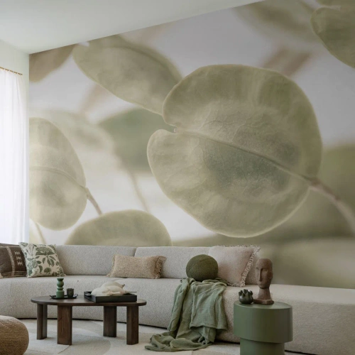 Fototapete Standard Eco - Zarte hellgrüne Blätter auf hellem Hintergrund - 100x70cm - Am Anfang waren Blätter... - Moderne Wanddekoration für Wohnzimmer und Schlafzimmer ARTTOR