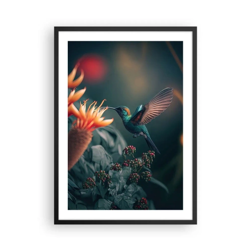 Poster in einem schwarzem Rahmen - Ein bunter Kolibri in der Nähe von Blumen im Grünen - 50x70cm - Wirklich buntes Leben - Moderne Wanddekoration für Wohnzimmer und Schlafzimmer ARTTOR