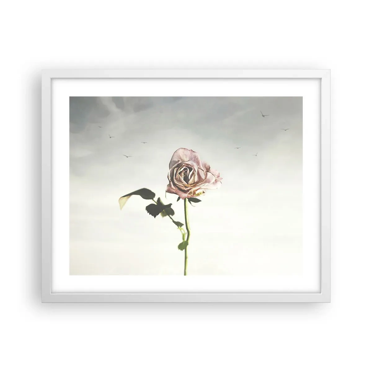 Poster in einem weißen Rahmen - Begrüßung des Frühlings - 50x40 cm