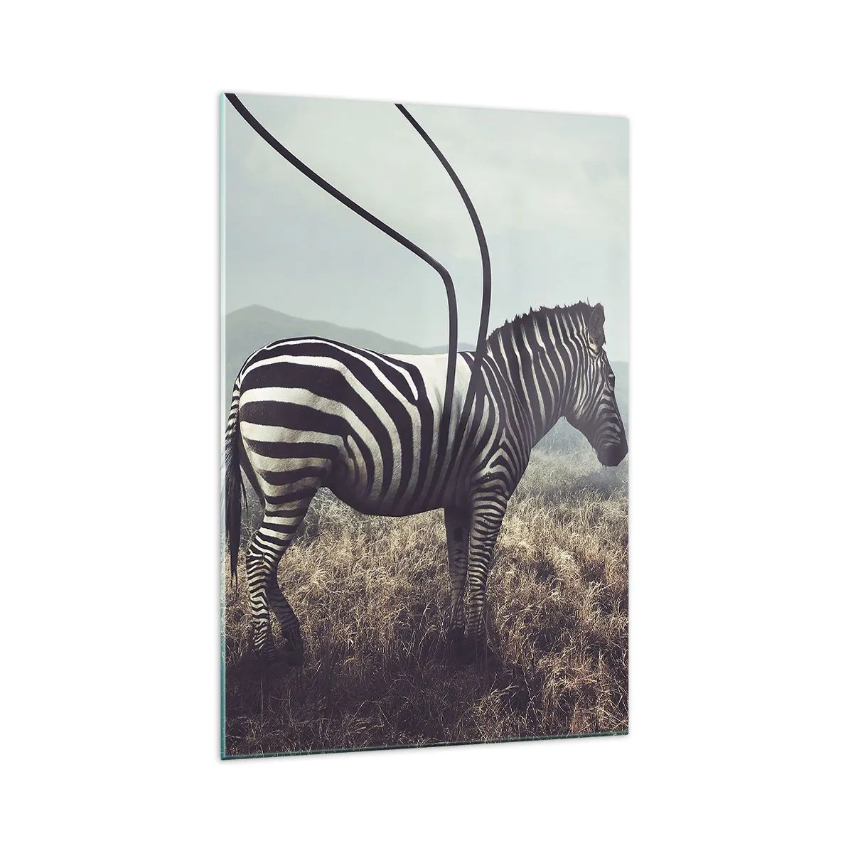 Glasbild - Bild auf glas - Ein surreales Zebra vor einer grasbewachsenen Landschaft - 70x100cm - Achtung! Fehler - Moderne Wanddekoration für Wohnzimmer und Schlafzimmer ARTTOR