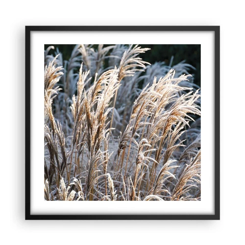 Poster in einem schwarzem Rahmen - Gekleidet mit Frost - 50x50 cm