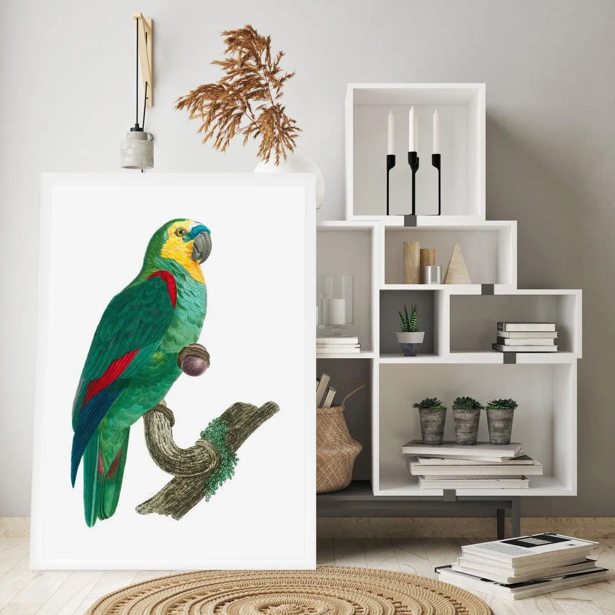 Poster - Papageienporträt - 30x40 cm