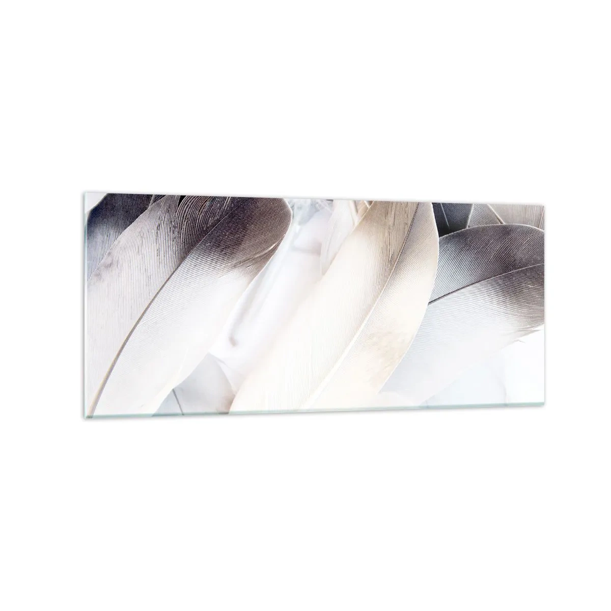 Glasbild - Bild auf glas - Nahaufnahme zarter Federn in Weiß- und Grautönen - 120x50cm - Fast engelhaft - Moderne Wanddekoration für Wohnzimmer und Schlafzimmer ARTTOR