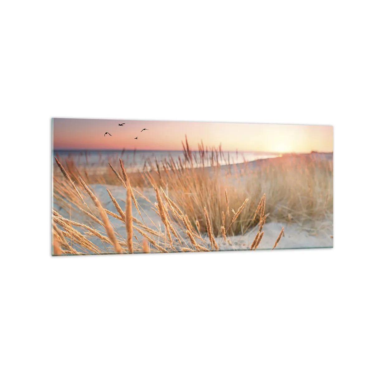 Glasbild - Bild auf glas - Sonnenuntergangsstrand mit hohem Gras - 120x50cm - Das baltische Wiegenlied - Moderne Wanddekoration für Wohnzimmer und Schlafzimmer ARTTOR