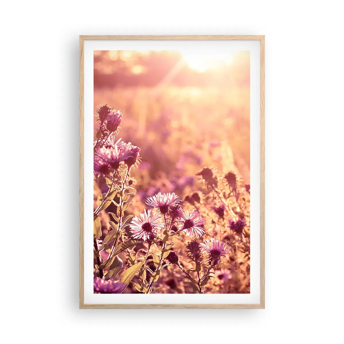 Poster in einem Rahmen aus heller Eiche - Bevor der Sommer vorbei ist - 61x91 cm