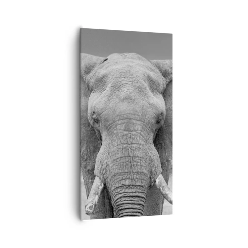 Bild auf Leinwand - Leinwandbild - Willkommen in meiner Welt - 65x120 cm