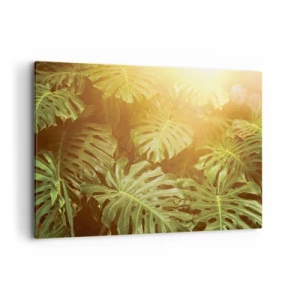 Bild auf Leinwand - Leinwandbild - Monstera-Blätter im Sonnenlicht vor einem natürlichen Hintergrund - 100x70cm - Ins Grüne tretren... - Moderne Wanddekoration für Wohnzimmer und Schlafzimmer ARTTOR