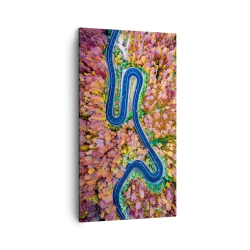 Bild auf Leinwand - Leinwandbild - Kurvenreicher Weg durch den Wald - 45x80 cm
