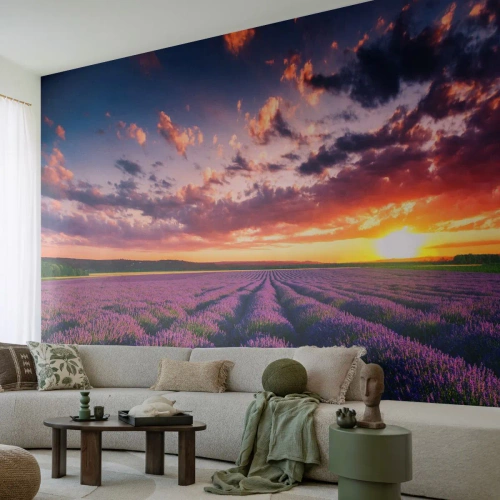 Maßgeschneiderte Fototapete Premium Sand - Lavendel Welt - Landschaft, Lavendelfeld, Lavendel
