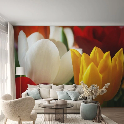 Selbstklebende Fototapete Deluxe Sticker - Tulpenfieber - Blumen, Tulpen, Blumenstrauß - 100x70 cm