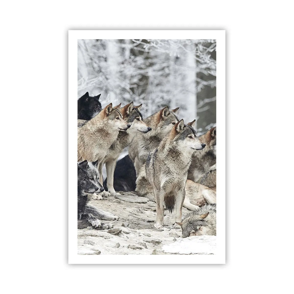 Poster - Familie und Freunde - 61x91 cm