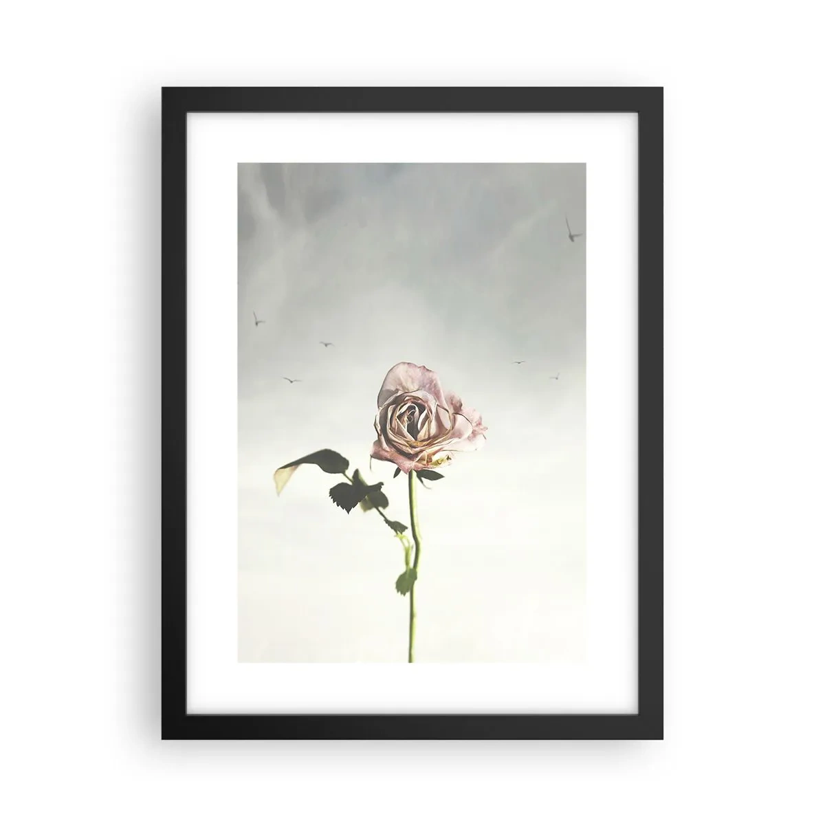 Poster in einem schwarzem Rahmen - Begrüßung des Frühlings - 30x40 cm