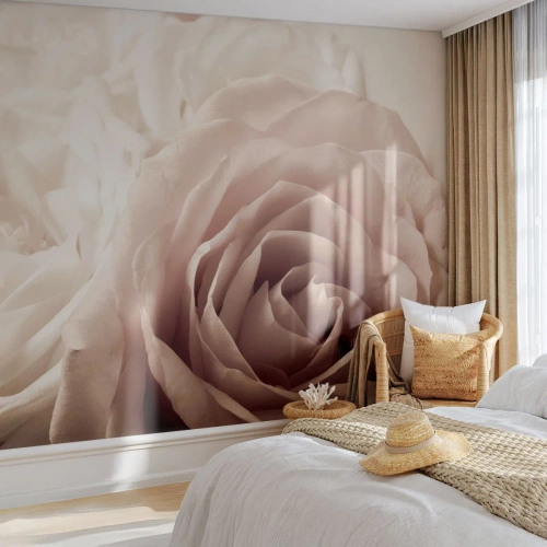Fototapete Premium Sand - Nahaufnahme von cremefarbenen Rosen im romantischen Licht - 100x70cm - Im Herzen der Rose - Moderne Wanddekoration für Wohnzimmer und Schlafzimmer ARTTOR
