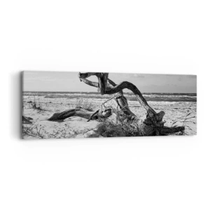 Bild auf Leinwand - Leinwandbild - Meeresskulptur - 90x30 cm