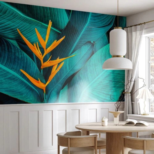 Selbstklebende Fototapete Deluxe Sticker - Eden-Blume - Strelitzia Royal, Blume, Afrika - 500x350 cm