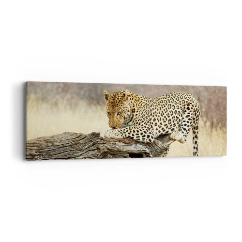 Bild auf Leinwand - Leinwandbild - Ich gehe meine eigenen Wege - 90x30 cm