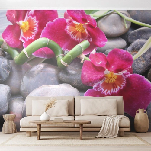 Maßgeschneiderte Fototapete Premium Canvas - Kühlen und erhitzen - Blumen, Steine, Orchidee