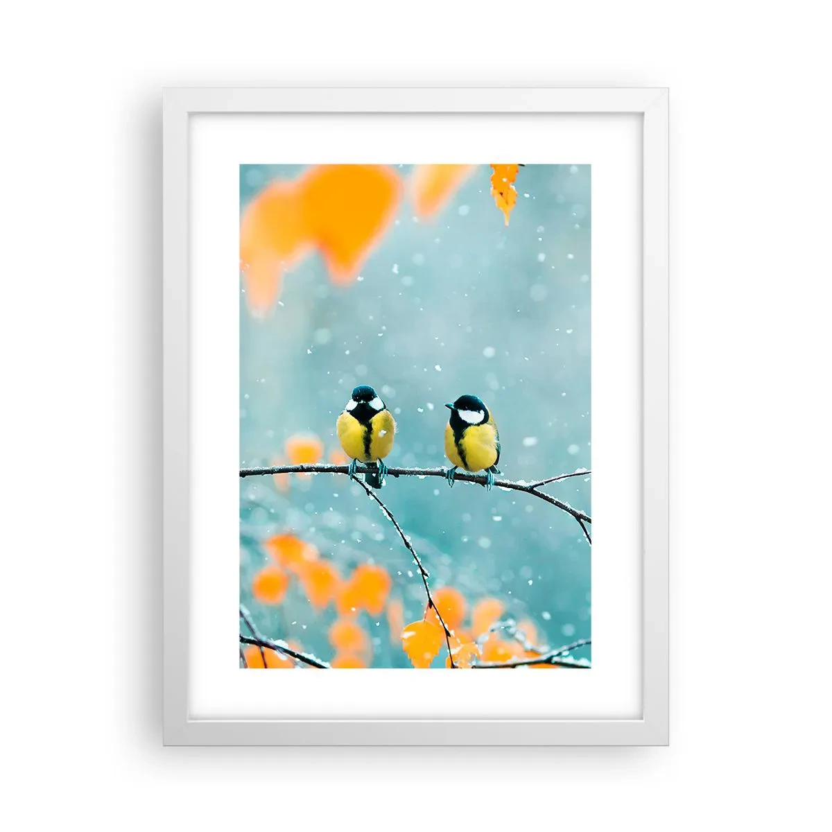 Poster in einem weißen Rahmen - Vogelklatsch - 30x40 cm