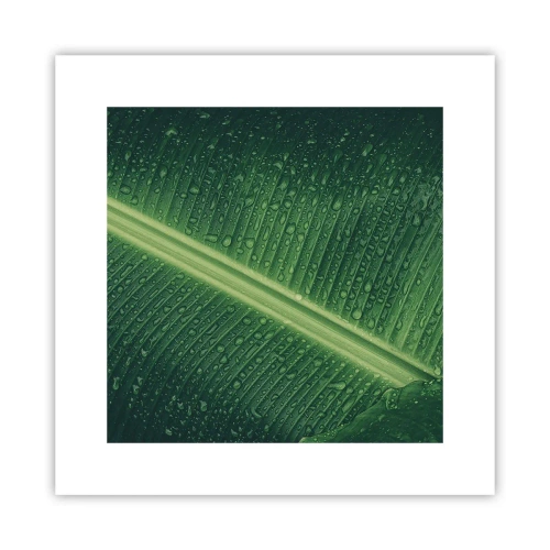 Poster - Die Struktur des Grüns - 30x30 cm