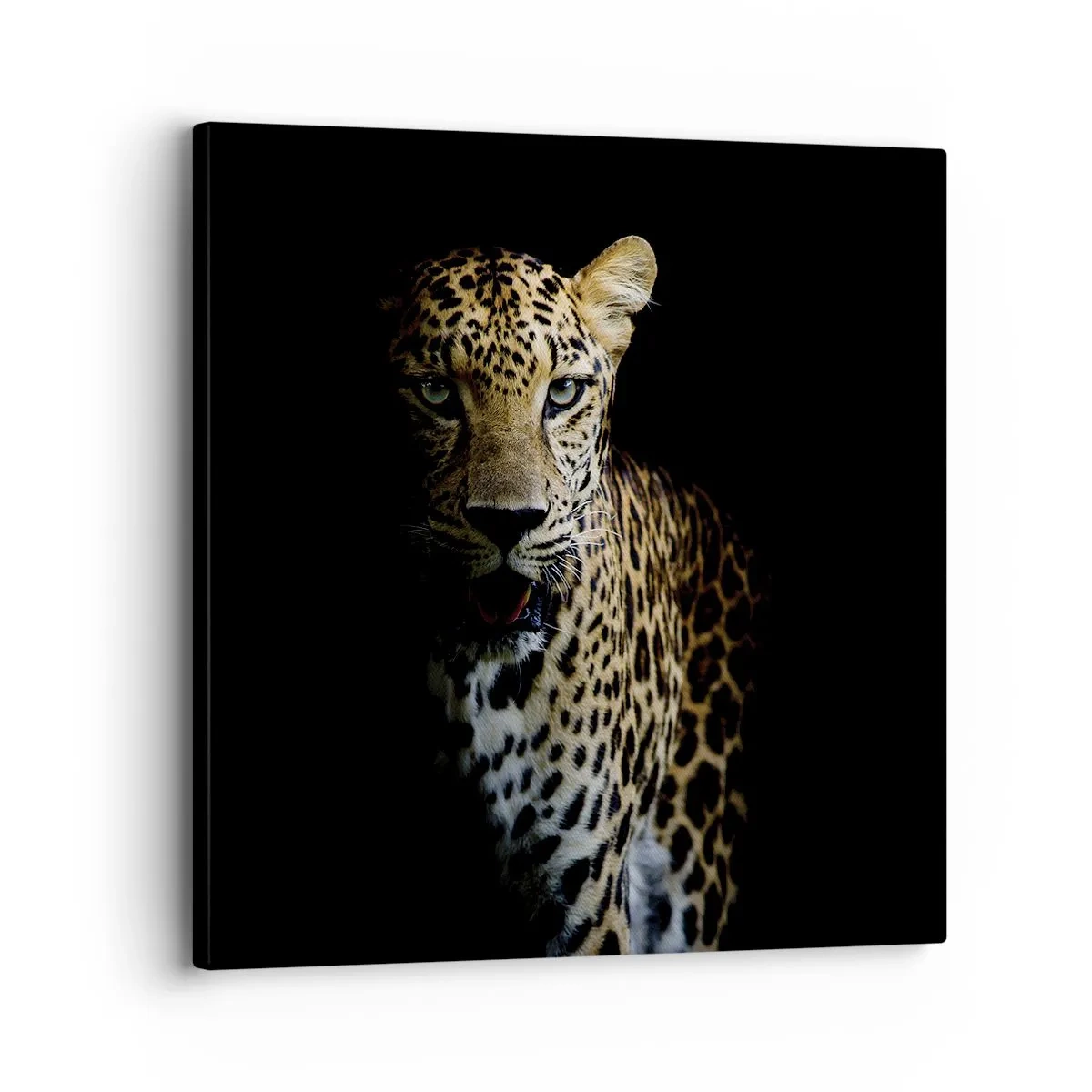 Bild auf Leinwand - Leinwandbild - Dunkle Schönheit - 30x30 cm