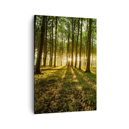 Bild auf Leinwand - Leinwandbild - Die untergehende Sonne im Laubwald - 50x70cm - Alle Frühlingsfotografie - Moderne Wanddekoration für Wohnzimmer und Schlafzimmer ARTTOR