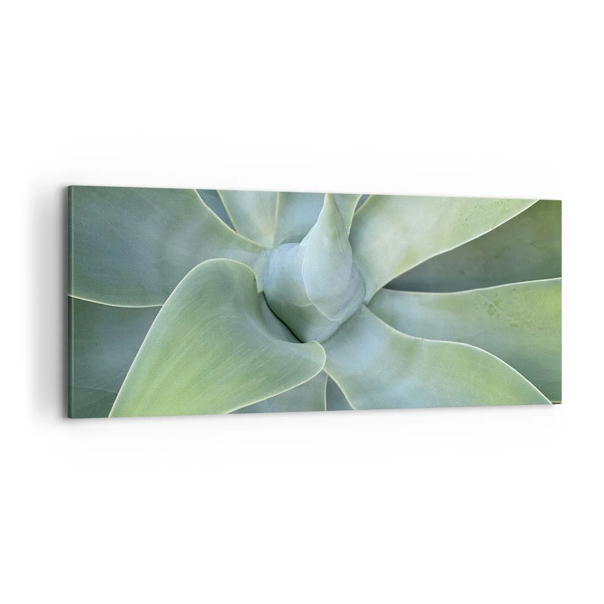 Bild auf Leinwand - Leinwandbild - Geburt des Grüns - 100x40 cm